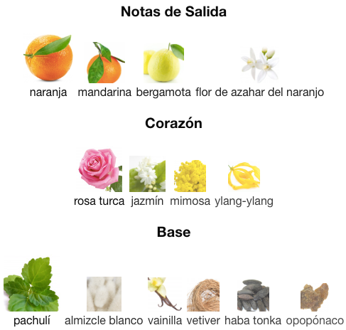 Coco Mademoiselle de Chanel EDP 100ml