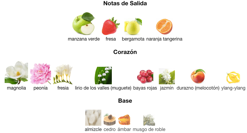 Guess for Women EDP 75ml