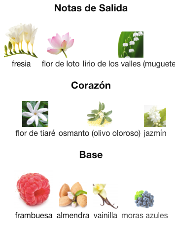 Touch de Tous EDT 100ml