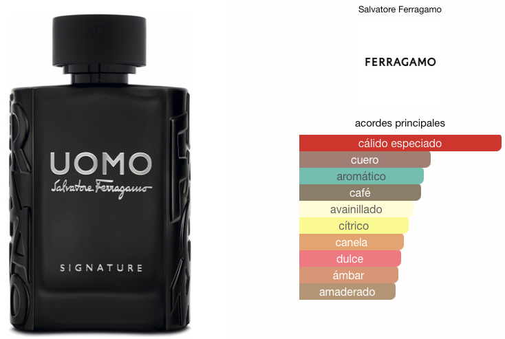 Uomo Salvatore Ferragamo Signature EDT 100ml