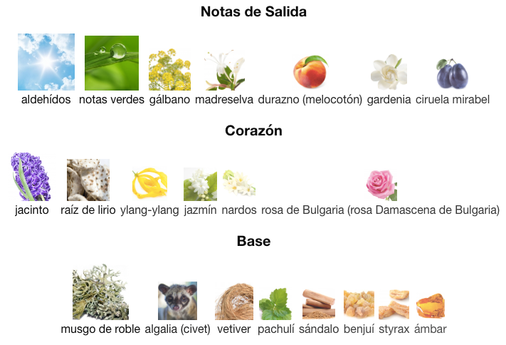 Y de Yves Saint Laurent EDP 100ml