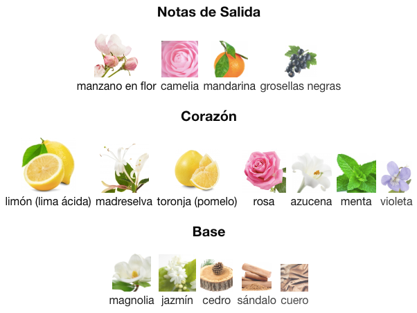 Tommy Girl de Tommy Hilfiger EDT 200ml