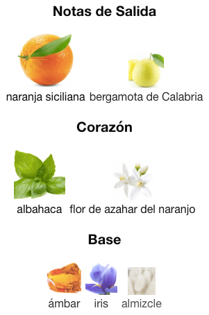 Orange Dolce&Gabbana EDT 150ml