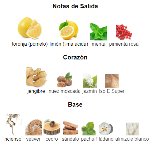 Bleu de Chanel EDP 100ml