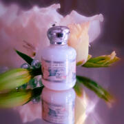 Perfume Anais Anais para Mujer de Cacharel Eau de Toilette 100ML